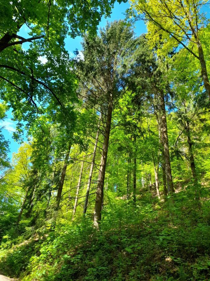 Ferienwohnung Am Enzufer Mit Balkon In Bad Wildbad Im Schwarzwald المظهر الخارجي الصورة